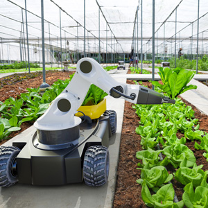 Introduction of AI-Powered Harvesters