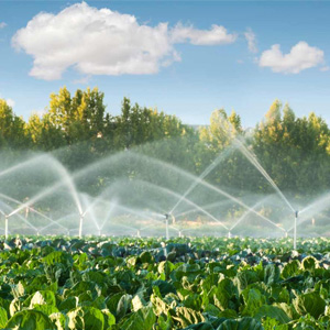 Smart Irrigation Systems for Enhanced Water Efficiency