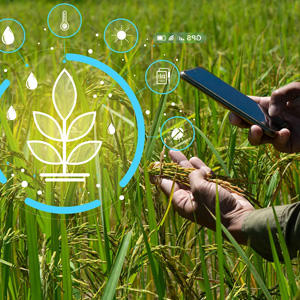 Smart Sensors for Crop Health