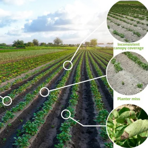 Data Analytics for Yield Prediction**