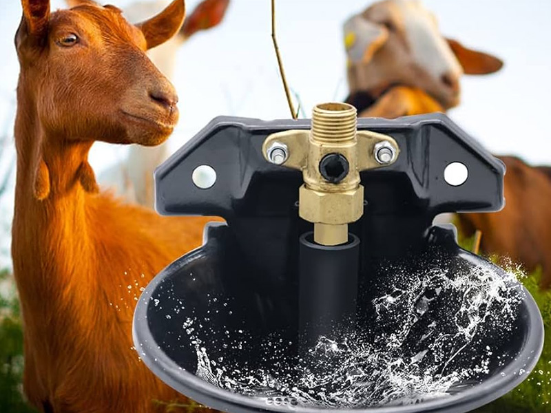 Automated Watering Systems
