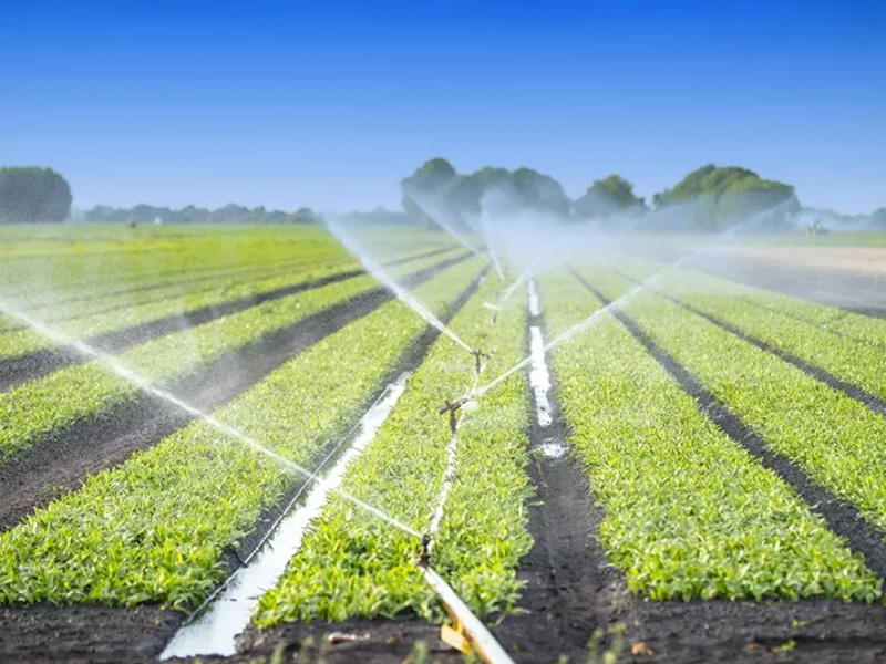 Irrigation Systems