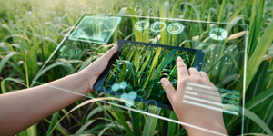 AI-Powered Crop Disease Detection