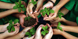 Environmental Organizations
