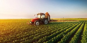 Government Agricultural Programs