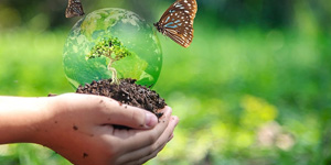 Biodiversity Preservation