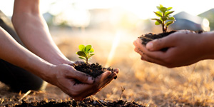 Biodiversity Protection