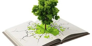 Environmental Education
