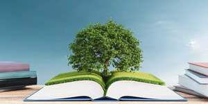 Sustainability Education